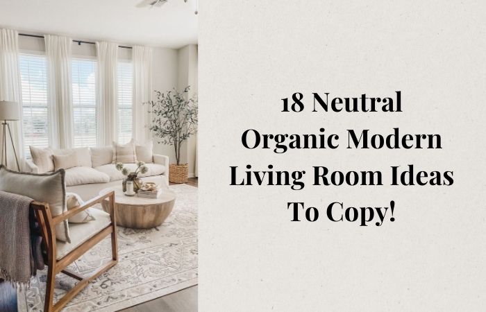 18-Neutral-Organic-Modern-Living-Room-Ideas-Loves-From-Bet